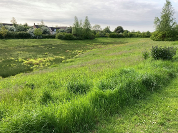 Photo of meadow grass area at Halesbarne Lane, Haverhill