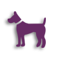 Animal licences icon