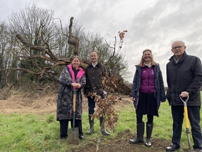 Cllr Rowena Lindberg, Cllr Richard Rout and Cllr Birgitte Mager with Mike Hollins, treasurer of the Woodlands Way charity, plant the King's Coronation Oak Sapling at Ten Acre Field, Bury St Edmunds