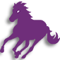 Equine Hub icon