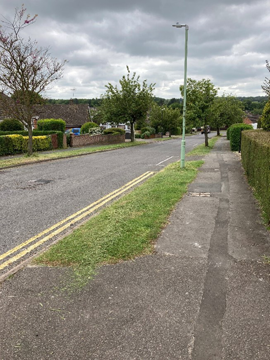 Photo of a typical urban highway verge