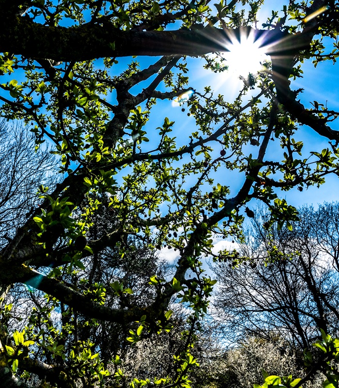 One of the images from East Town Park that features in the new exhibition by Geoff Price