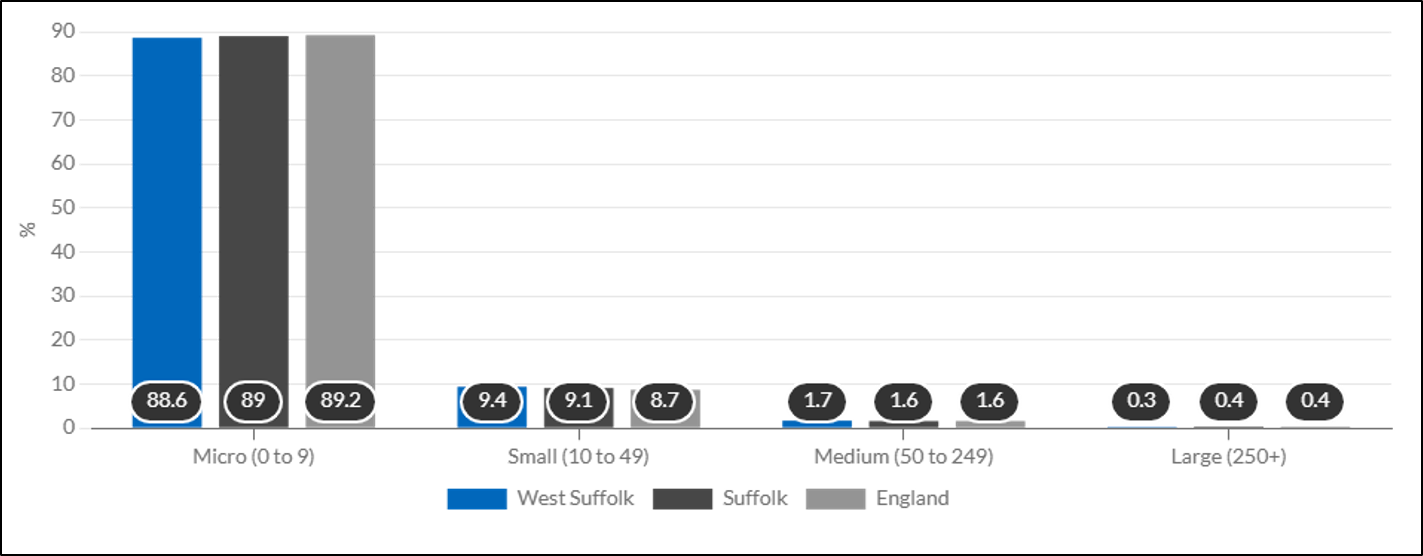 Click to view full size Figure 12 shows that the size distribution of enterprises by the number of employees in West Suffolk is comparable to the regional and national average Figure 12 shows that the size distribution of enterprises by the number of employees in West Suffolk is comparable to the regional and national average