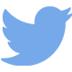 Twitter Icon