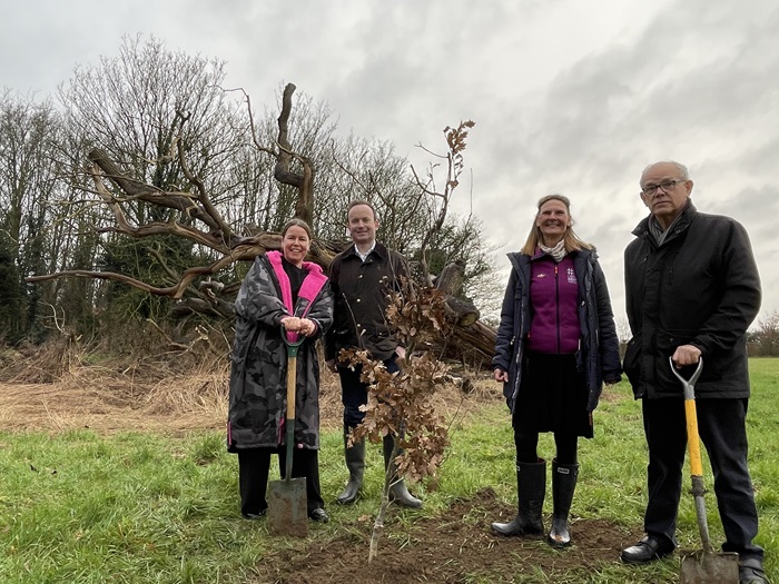 The King's Coronation Oak sapling at Ten Acre Field with Cllr Rowena Lindberg, Cllr Richard Rout, Cllr Birgitte Mager and Mike Hollins, treasurer of Woodlands Way
