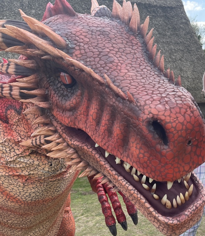 Our new dragon