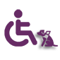 Wheelchair accessible vehicles and provision for assistance dogs icon