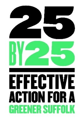 25 by 25 logo