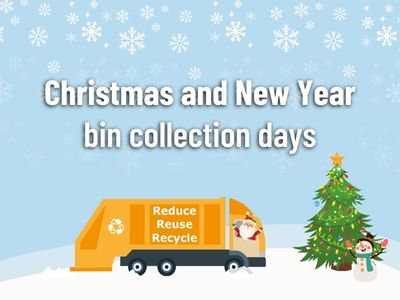 Christmas Bin Changes