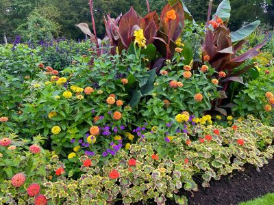 Image of flowers icon