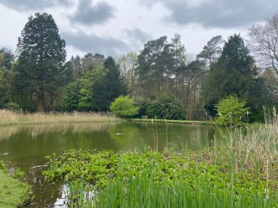 Brandon Country Park icon