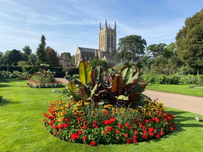 Anglia in Bloom icon