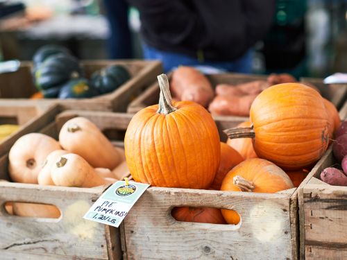 October market 2025 icon