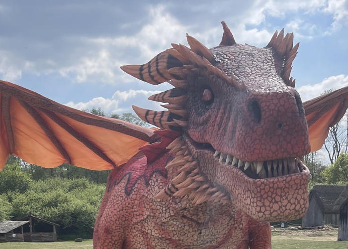 dragon
