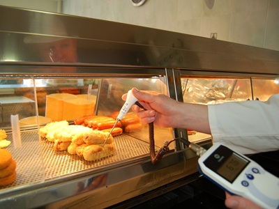The image shows a food hygiene inspector carrying out a temperature check in cooked food in a fish and chip shop icon