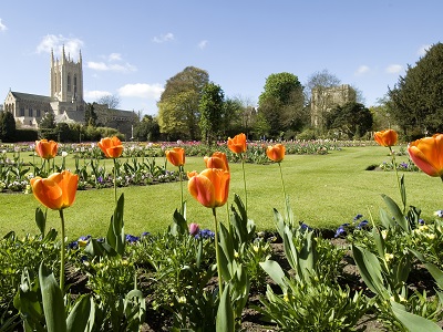 A new information point and plant sales area has opened in the Abbey Gardens in Bury St Edmunds