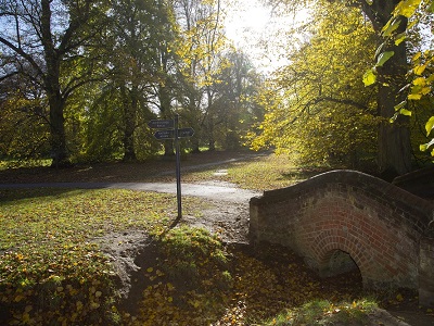 Nowton Park