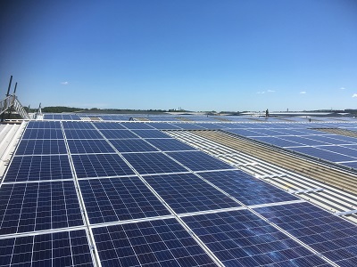 Helping businesses cut carbon emissions and save money