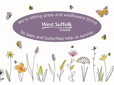 The sign reads "We're letting grass and wildflowers thrive so bees and butterflies help us survive." It shows an image of wildflowers, long grass, bees and butterflies and the council logo