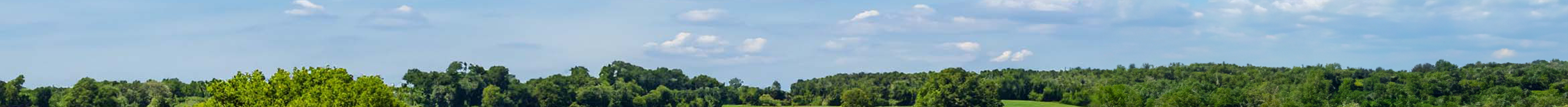 Countryside